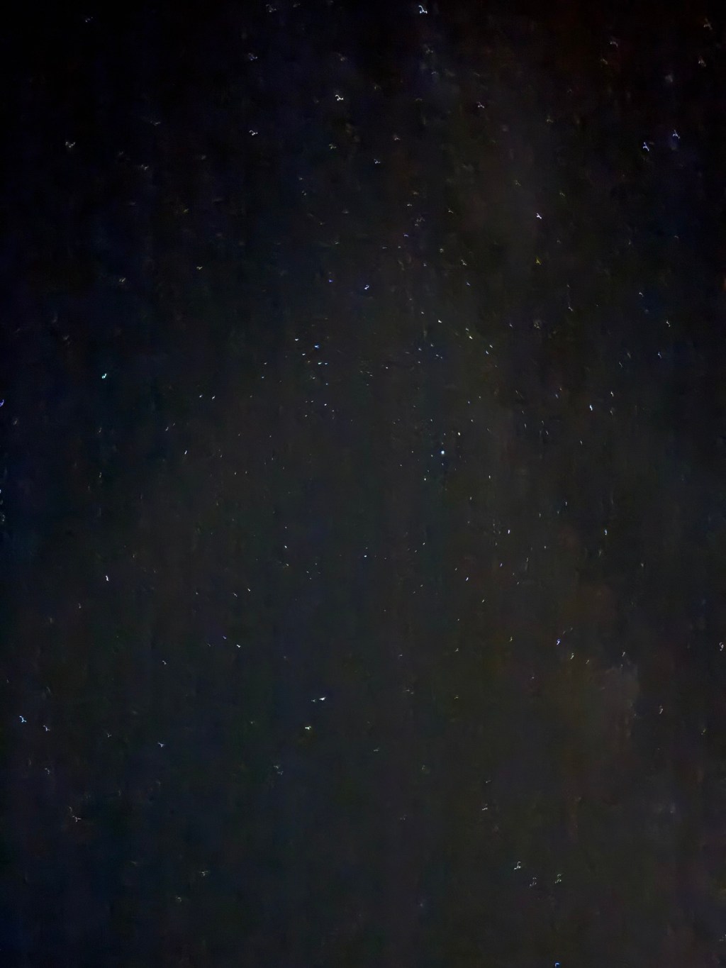 Dark Skies and Stewardship of Place
