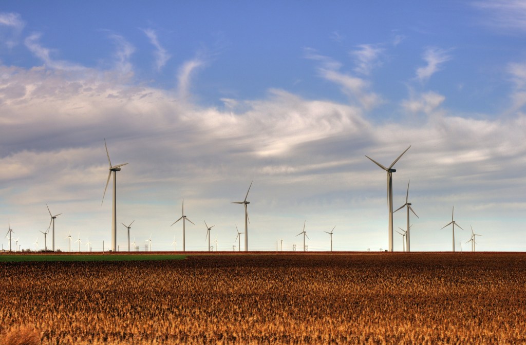 What the Wind Carries